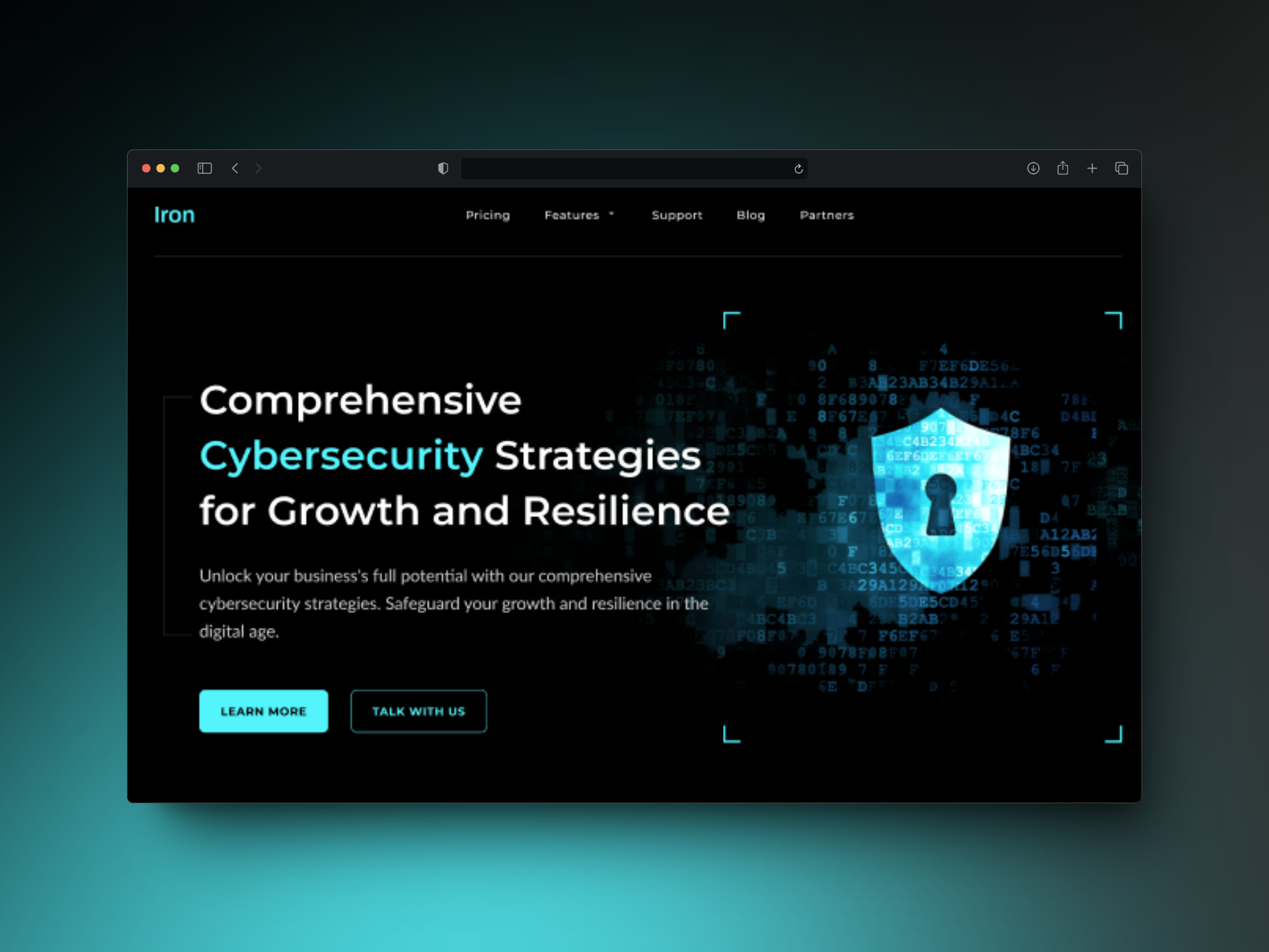 cyber security